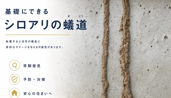 基礎コンクリートに形成された蟻道